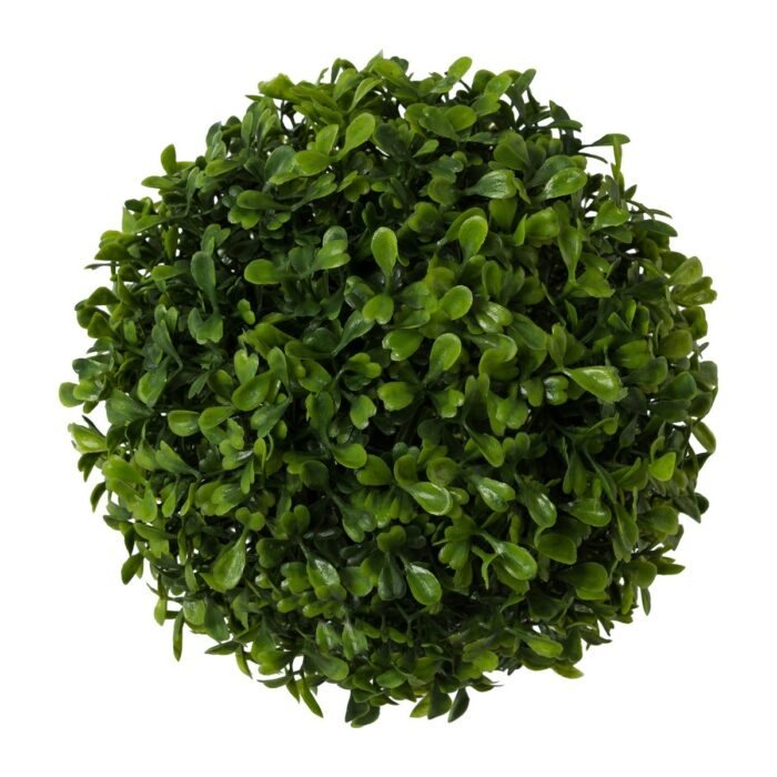 Buxusová koule zelená
